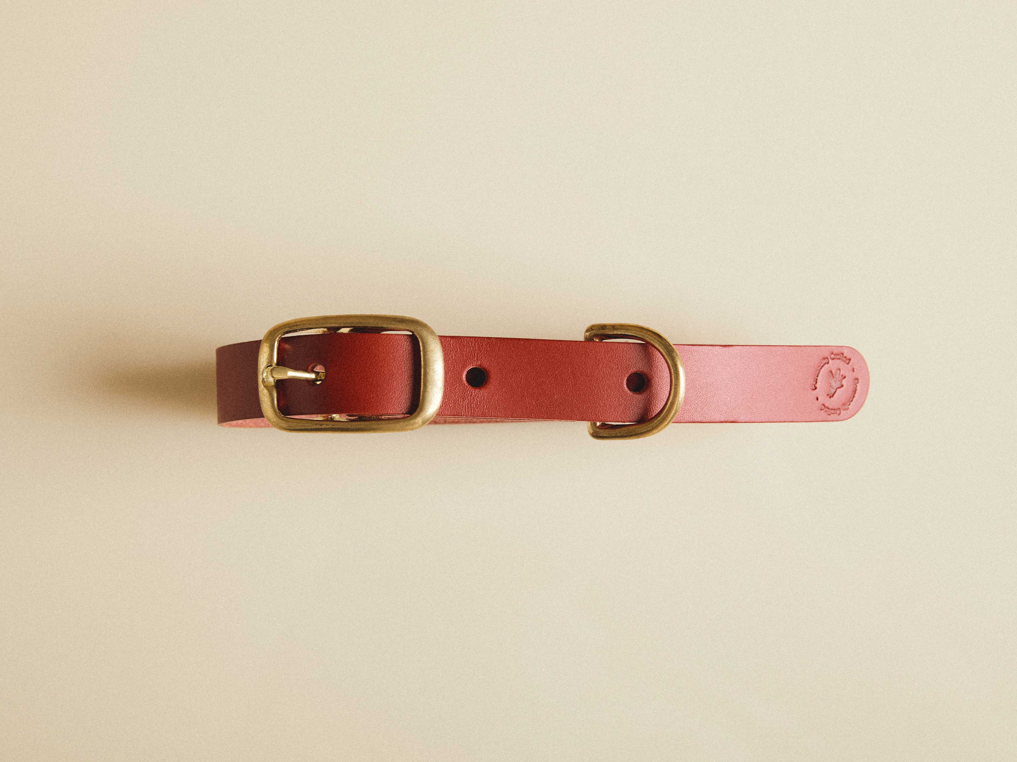 SAFARI Dog Collar, Handmade, Hand-painted Wood Beads, Comfortable for Your  Pup, Stink Proof, Durable - Etsy | Handmade dog accessories, Diy dog collar,  Dog collar diy tutorials